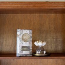 Load image into Gallery viewer, Haven Flower Diffuser 4 Pack